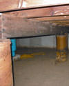 Mold and rot thriving in a dirt floor crawl space