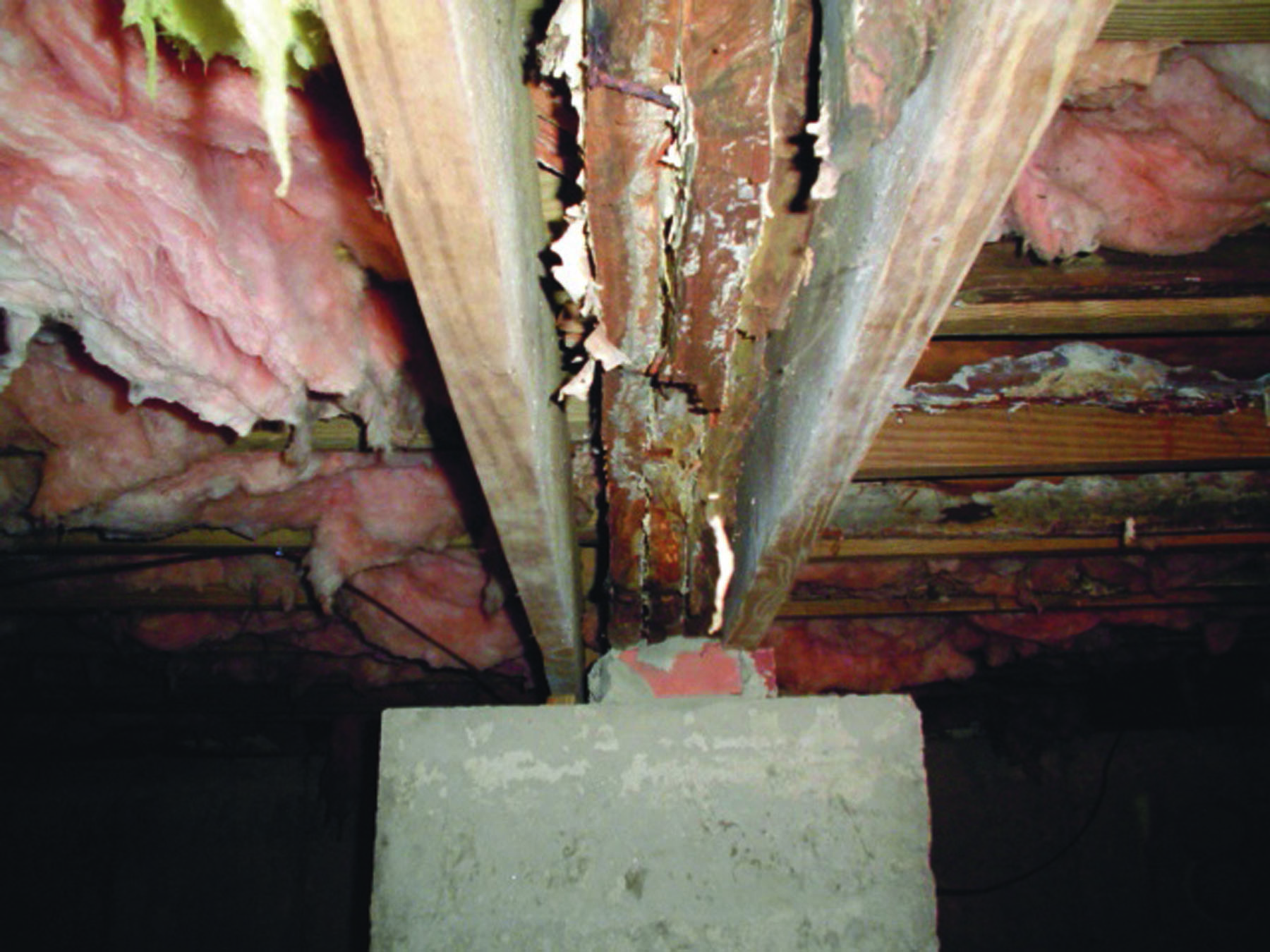 Moldy wood in the crawl space