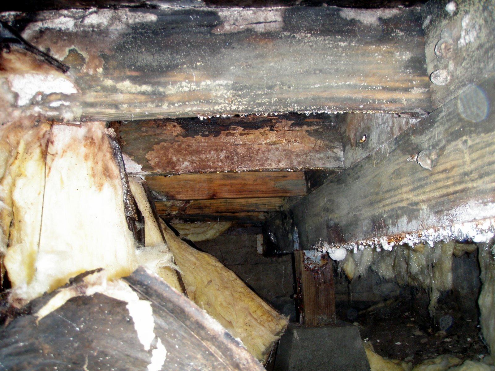 Nasty crawl space in Vail, CO