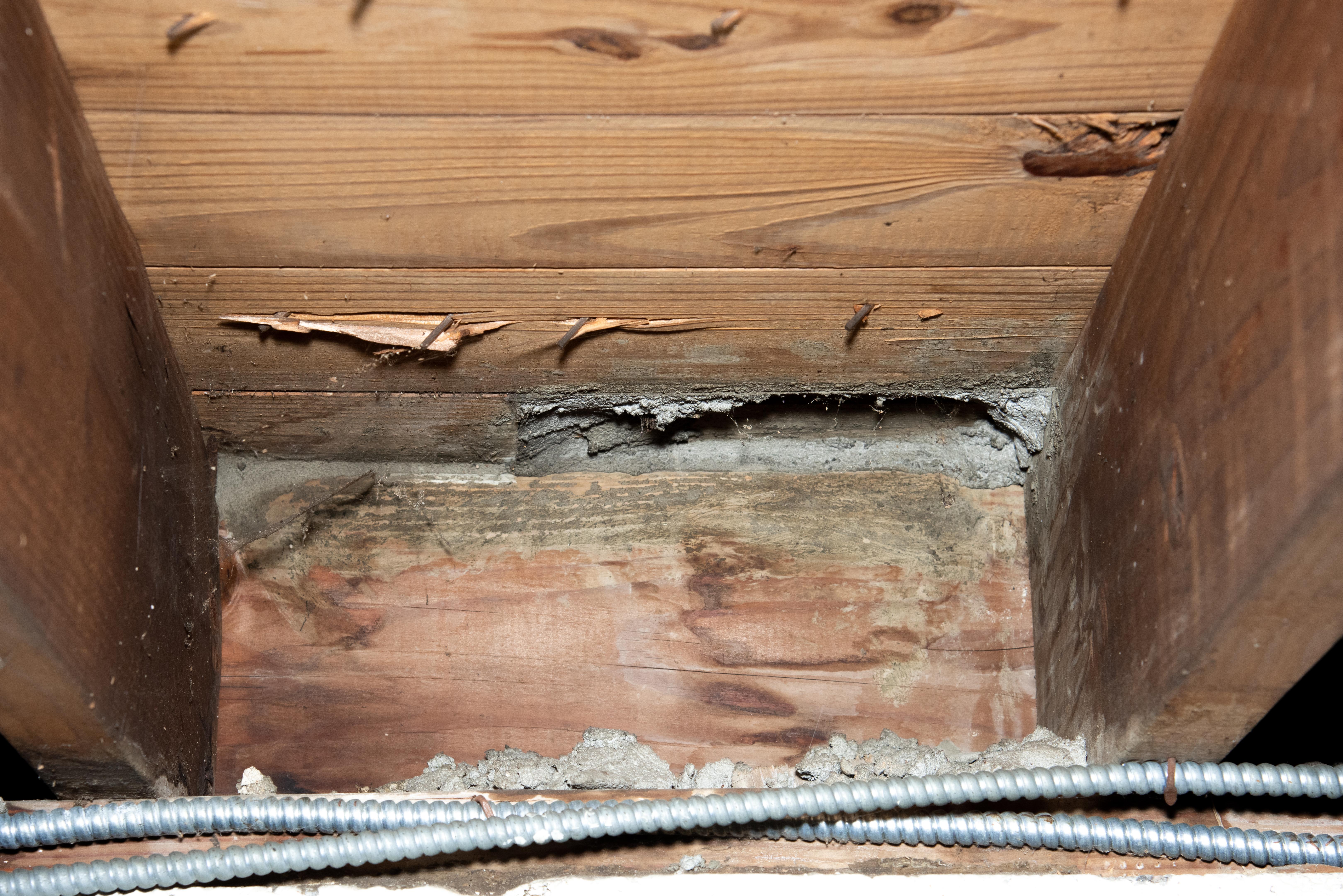 Rotten wood beams in Vail