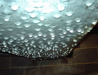 a flooded crawl space floor in a Bailey home