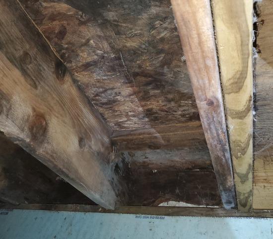 High humidity levels in Colorado crawl space