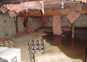 Fiberglass dripping off of the ceilings of a Carbondale crawl space