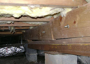 A sagging crawl space with concrete supports and wooden shimming a Dillon crawl space
