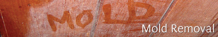 Home Mold in CO, including Aspen, Vail & Steamboat Springs.