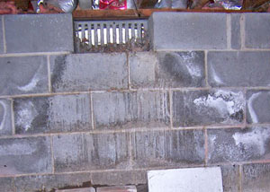 Open crawl space vents allowing in humidity and water in Craig