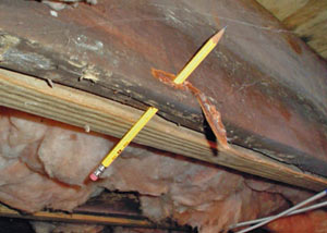 Destroyed crawl space structural wood in Parachute