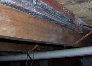 Rotting, decaying wood from mold damage in Granby